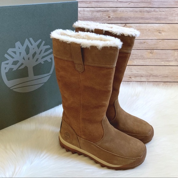 Timberland Tan MT. Hayes Waterproof Pull On Boots - Picture 1 of 6